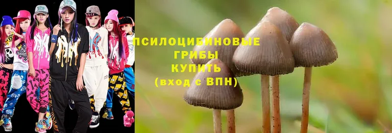 Галлюциногенные грибы Magic Shrooms  Орёл 